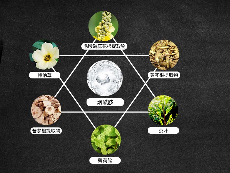 图片[4]-慈养堂男士焕能凝冻啫喱 90g*瓶